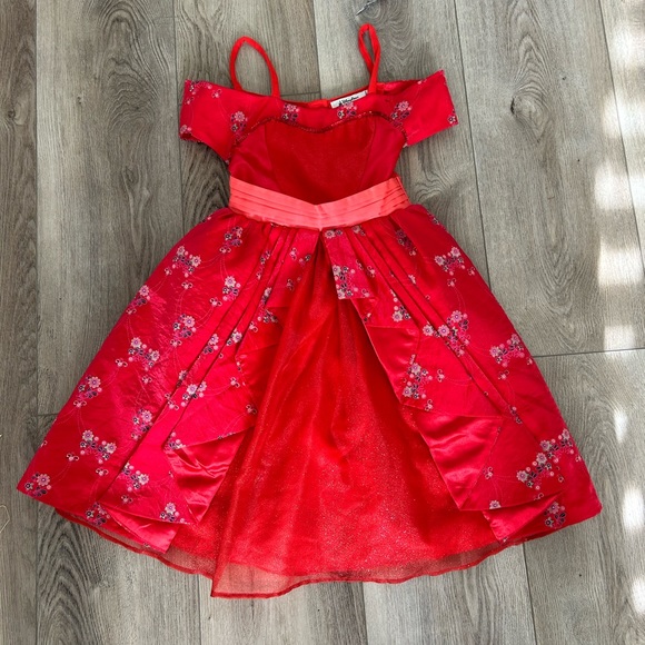 Elena of Avalor Costume - Picture 1 of 5